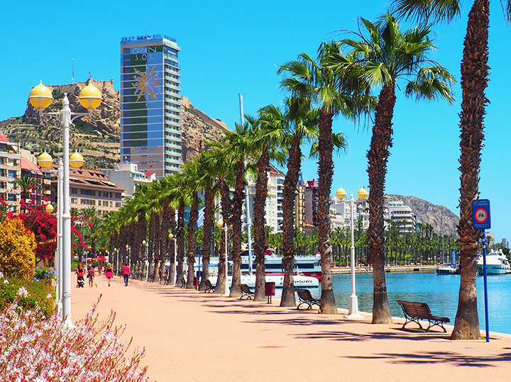 View of the city and palm trees along the shore in Alicante, Spain.