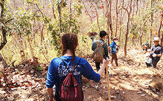Students volunteering in the forest in Chiang Mai, Thailand.
