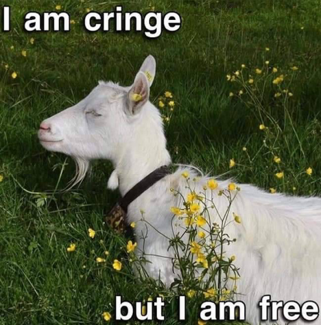 A meme of a white goat in grass with text that reads "I am cringe but I am free."