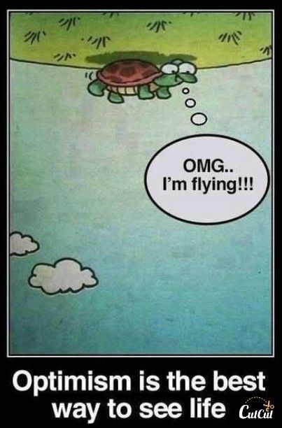 A turtle lying on its back saying "OMG...I'm flying!!" with a caption that reads "Optimism is the best way to see life."