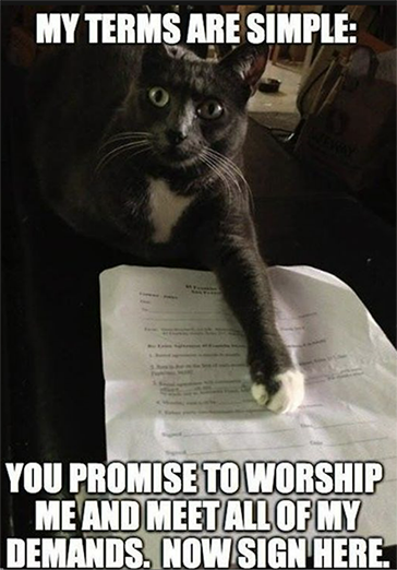 Meme of a cat that reads "My terms are simple: you promise to worship me and meet all of my demands. Now sign here."