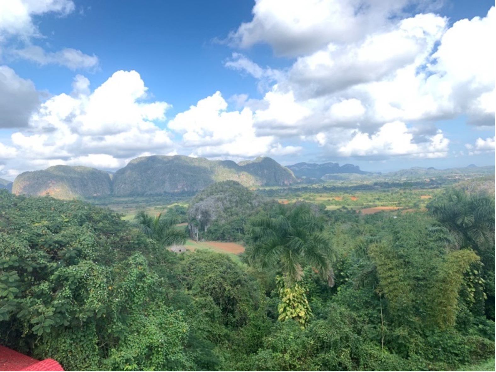 View of lush landscape with mountains in the background.