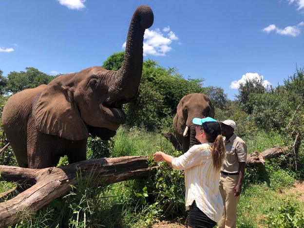 Laura Conneau playing with elephants in Thailand.