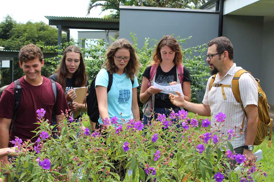 Five students standing in front of a plant with purple flowers while on a biology trip studying abroad.