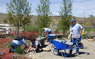 USAC staff cleaning up a park on World Volunteer Day