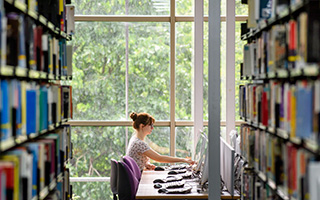 Student studies in library.