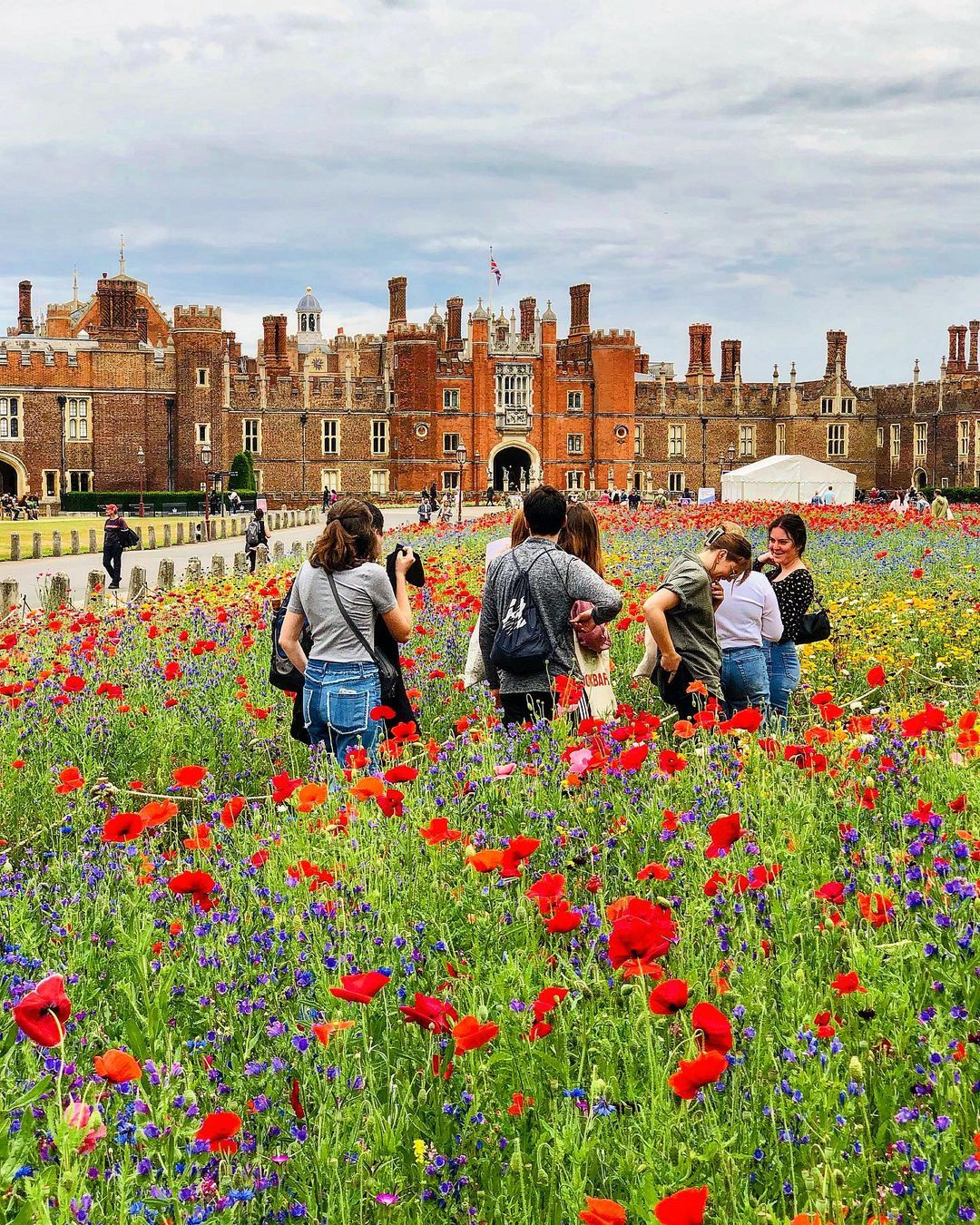 Students in the fields of flowers in front of Hampton Court Palace.
