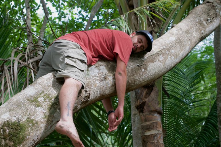 A student taking a nap on a tree in Costa Rica.