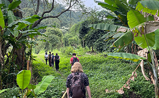 A group of students hiking through a forest.