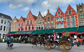 A horse and buggy in in front of historic buildings in Lyon, France.