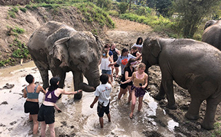 Students washing elephants in Thailand.