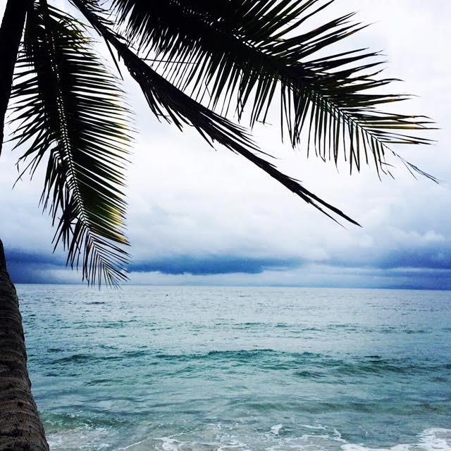 A view of the ocean and a palm tree on Playa Blanca in Punta Leona, Costa Rica.