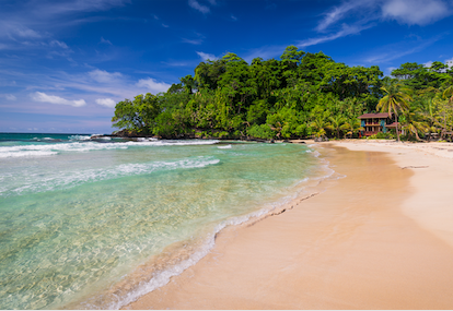 Waves crashing on the beach with palm trees in the background in Bocas del Toro, Panama.