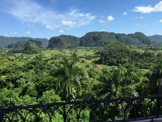 A view of the lush landscape of the Viñales Valley in Cuba.