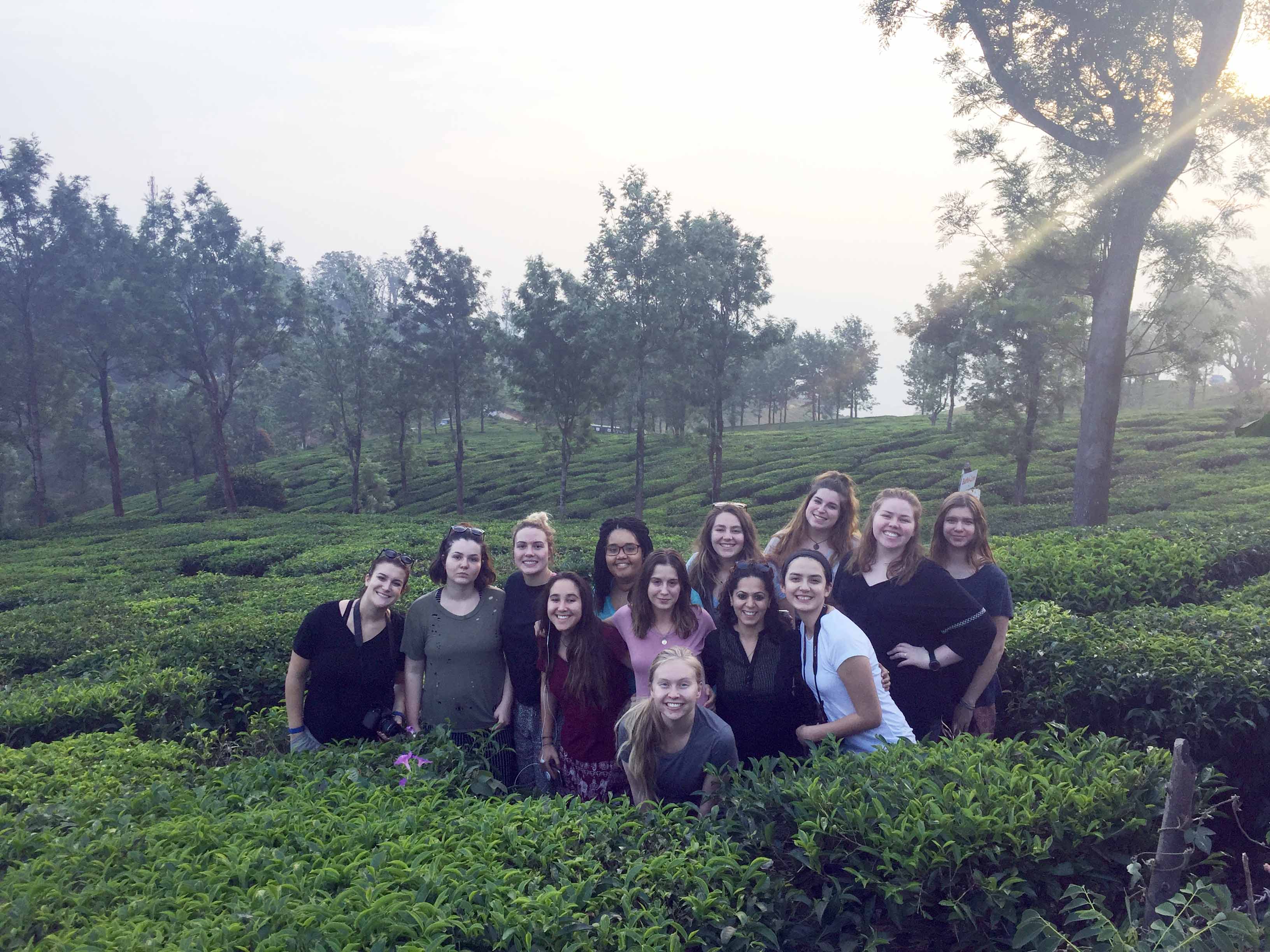 A group of people standing in the tea garden fields in Munnar, India.