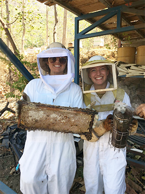 Beehive Interns in Costa Rica.