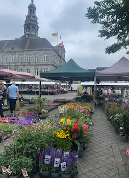 Flower market in the square with historic buildings in the background in Maastricht, Netherlands.