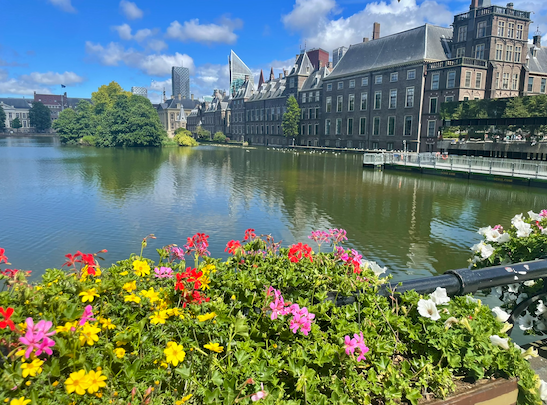 Flowers and historic buildings lining the river in The Hague, Netherlands.