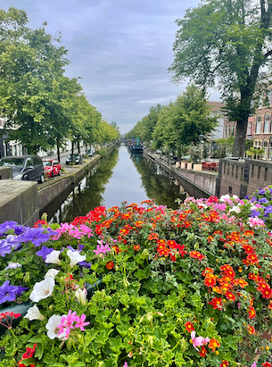 Flowers and historic buildings lining the canal in The Hague, Netherlands.