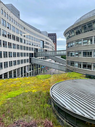 Skywalks between buildings on campus of The Hague University in The Hague, Netherlands.