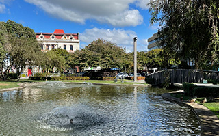 View of a park and buildings in Palmerston North, New Zealand.