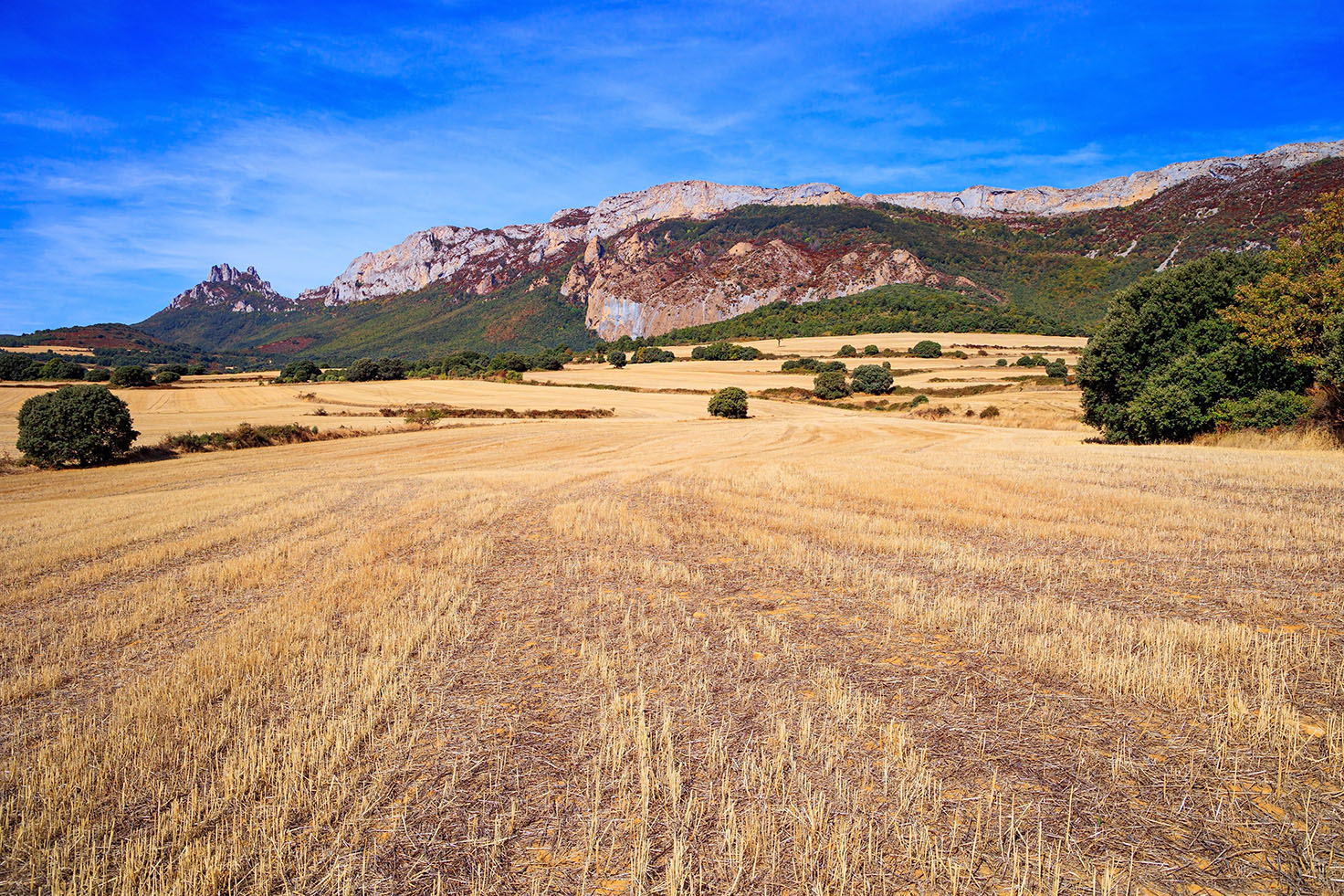 Farmland in Guipuzcoa, Spain.