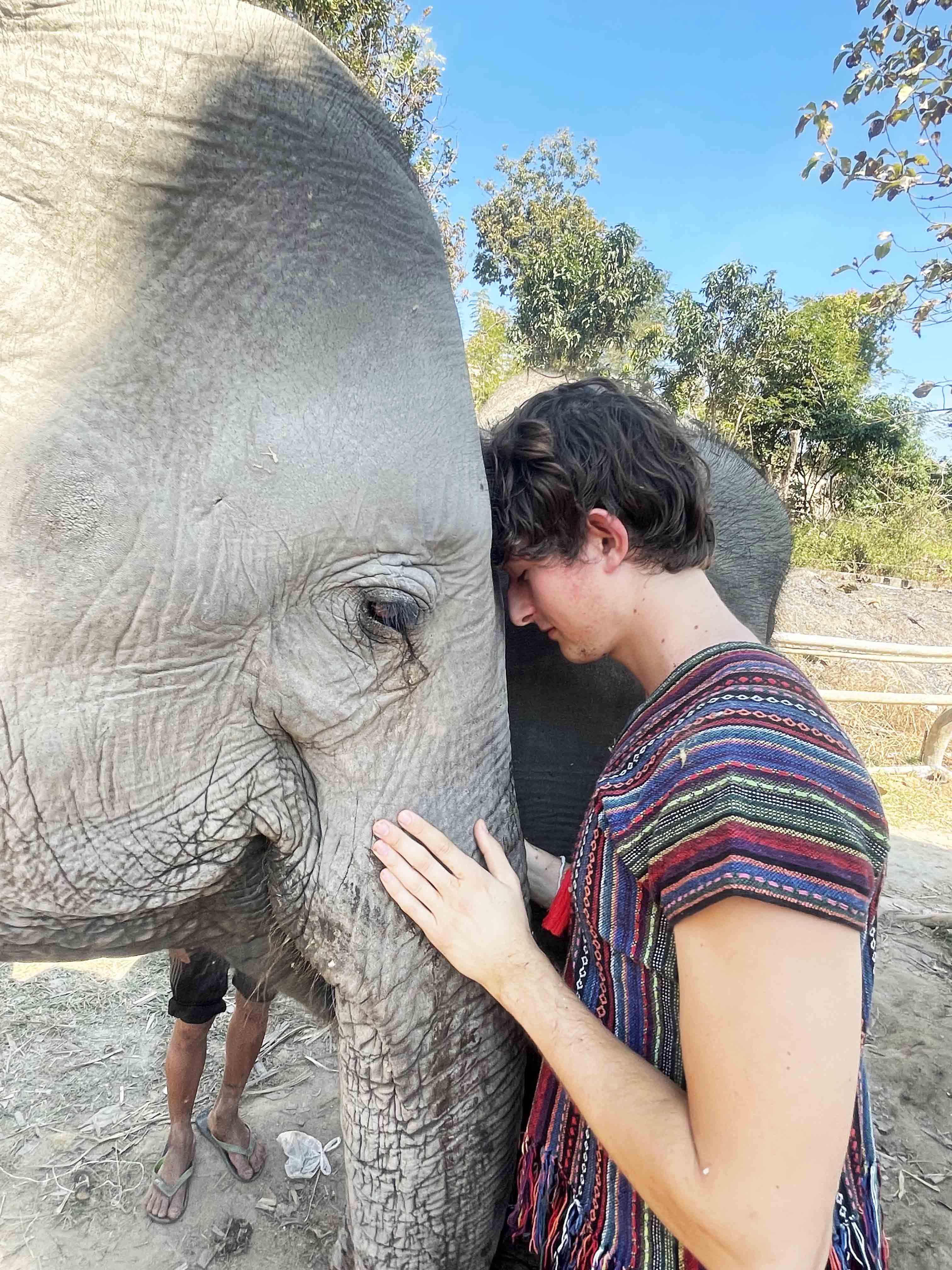 Student having a moment of peace with an elephant in Thailand.
