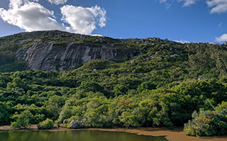 Lush forest and mountain range at the Pan de Az&uacute;car Eco Reserve in Uruguay.